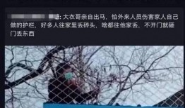 大衣哥最新爆料采访,演艺圈背后的真实故事与心路历程
