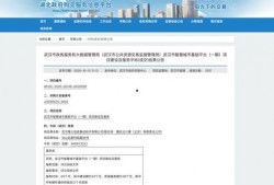 武汉腾讯最新爆料,揭秘科技巨头背后的创新与挑战