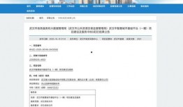 武汉腾讯最新爆料,揭秘科技巨头背后的创新与挑战